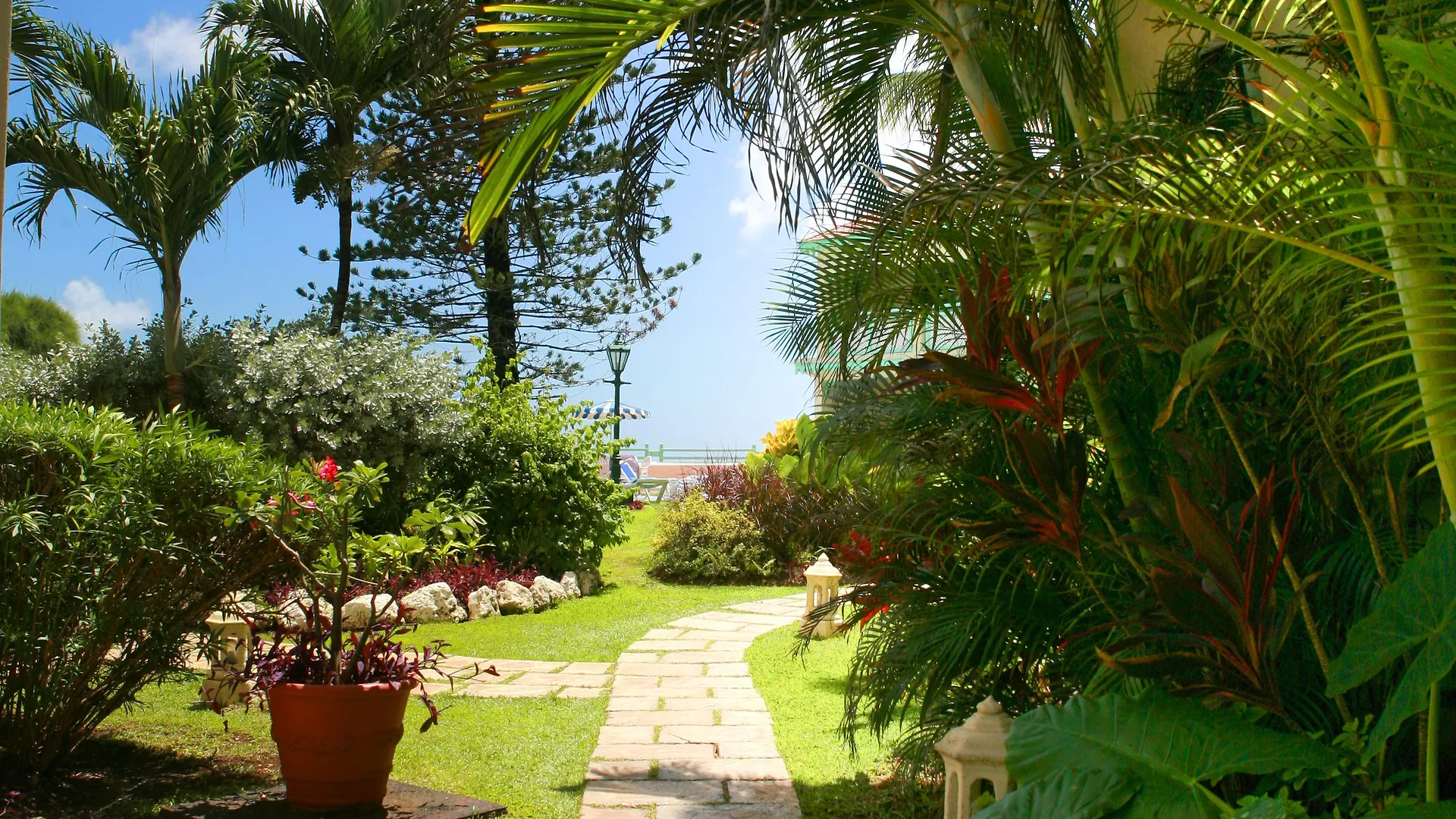 Blue Orchids Beach Hotel بريدج تاون
